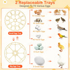 18 Egg Incubators for Hatching Eggs, Automatic Egg Turning and Humidity Control Incubator for Hatch Chicken Duck Quail Pigeon Pheasant Partridge Home Classroom Lab