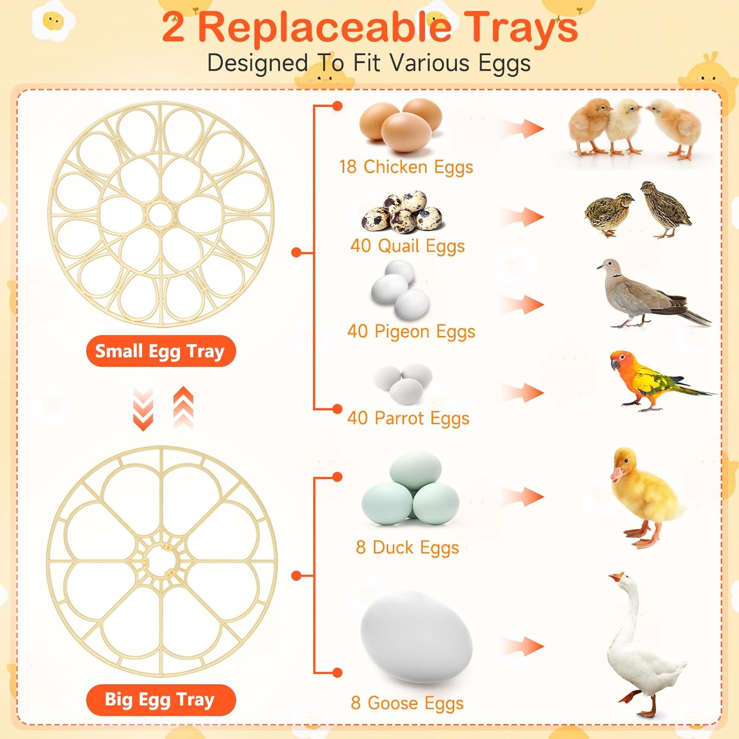 18 Egg Incubators for Hatching Eggs, Automatic Egg Turning and Humidity Control Incubator for Hatch Chicken Duck Quail Pigeon Pheasant Partridge Home Classroom Lab