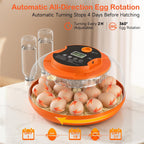 18 Egg Incubators for Hatching Eggs, Automatic Egg Turning and Humidity Control Incubator for Hatch Chicken Duck Quail Pigeon Pheasant Partridge Home Classroom Lab