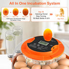18 Egg Incubators for Hatching Eggs, Automatic Egg Turning and Humidity Control Incubator for Hatch Chicken Duck Quail Pigeon Pheasant Partridge Home Classroom Lab